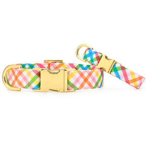The Foggy Dog - Dog Collar Rainbow Gingham