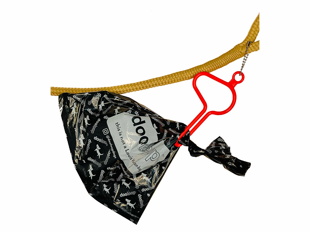 The Dooloop