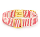 The Foggy Dog - Dog Collar Red Stripe