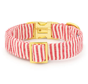 The Foggy Dog - Dog Collar Red Stripe