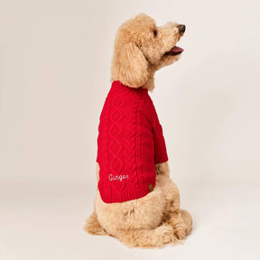 The Foggy Dog - Dog Sweater Red Cable Knit