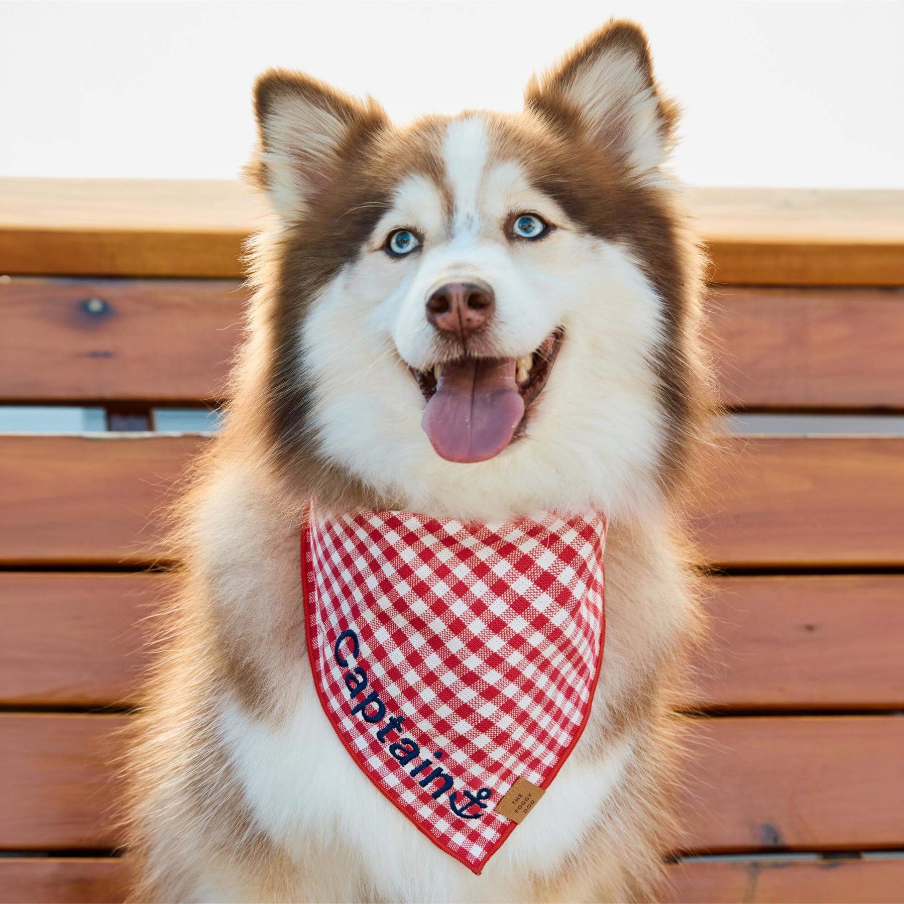 The Foggy Dog - Bandana Dog Red Gingham Summer