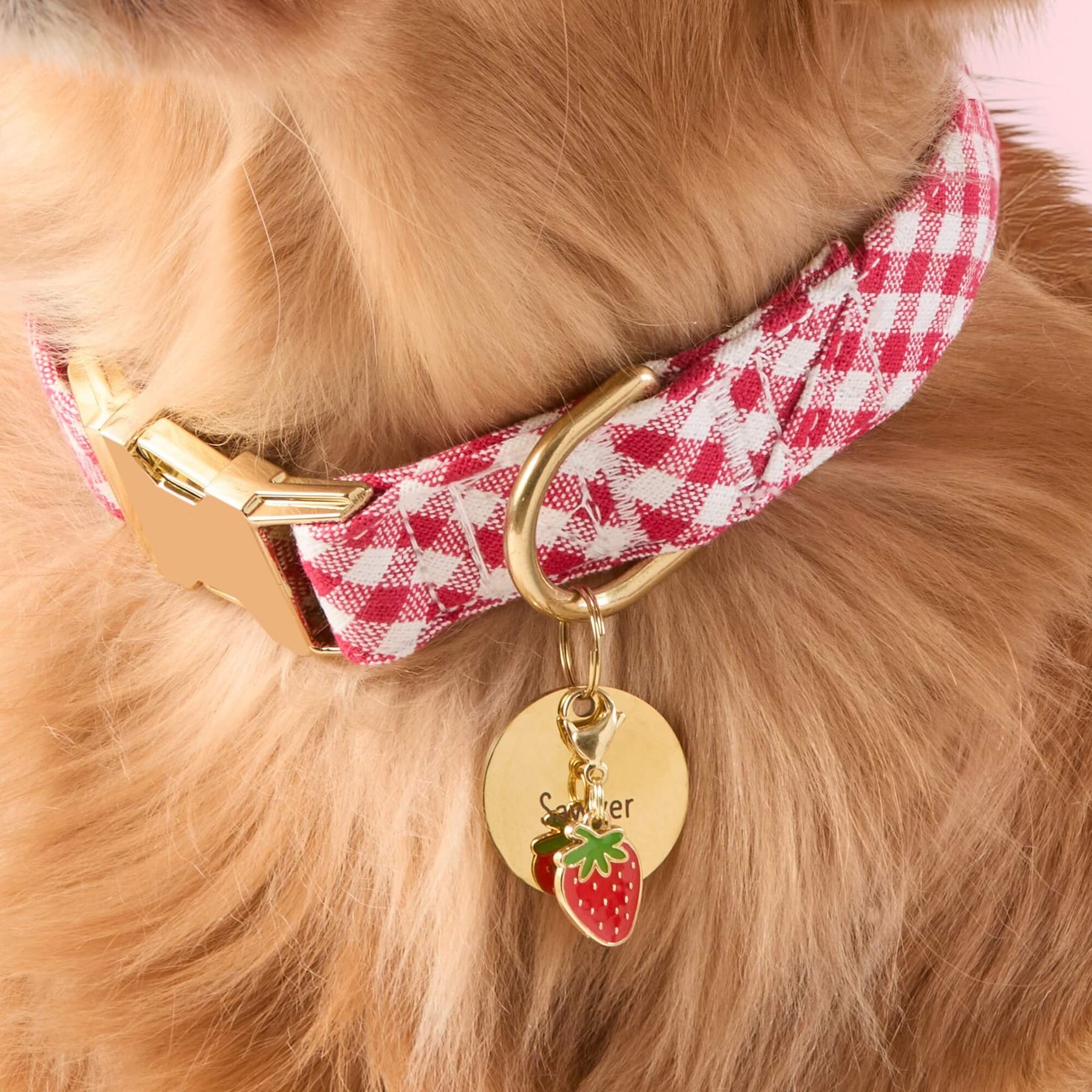 The Foggy Dog - Collar Charm Strawberry