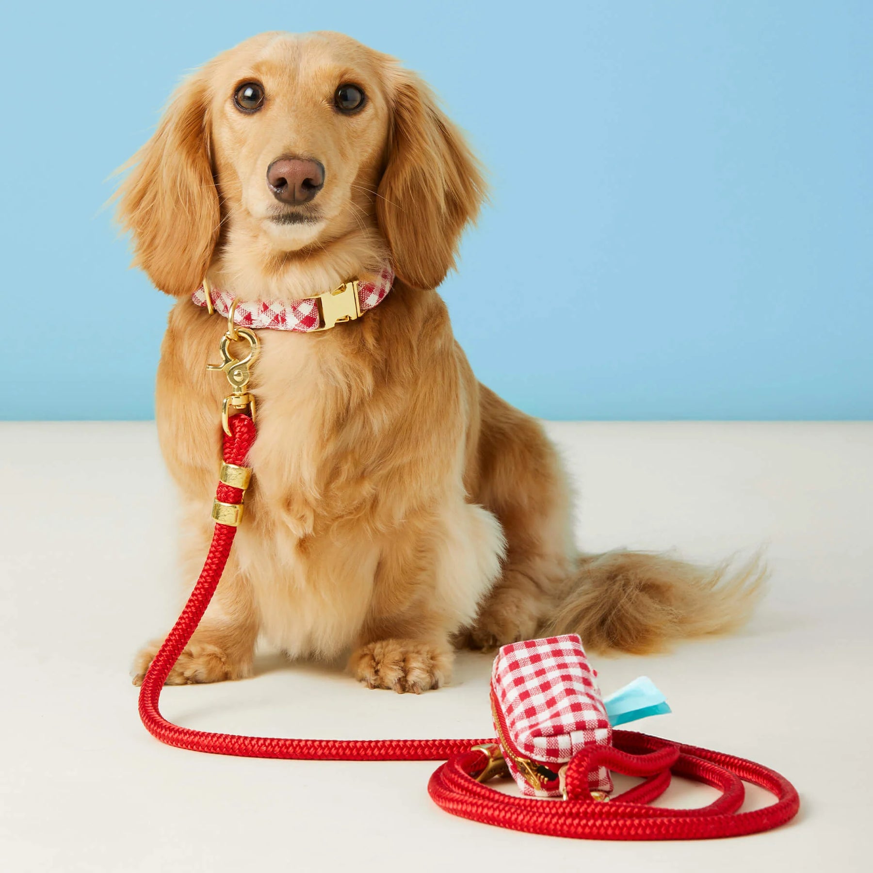 The Foggy Dog - Waste Bag Dispenser - Red Gingham