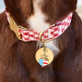 The Foggy Dog - Collar Charm I Heart America Summer