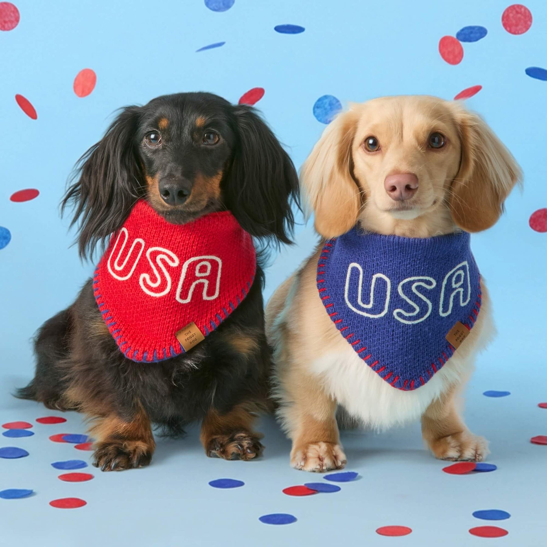 The Foggy Dog - Bandana Dog Red USA Knit
