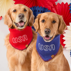 The Foggy Dog - Bandana Dog Red USA Knit