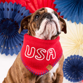 The Foggy Dog - Bandana Dog Red USA Knit