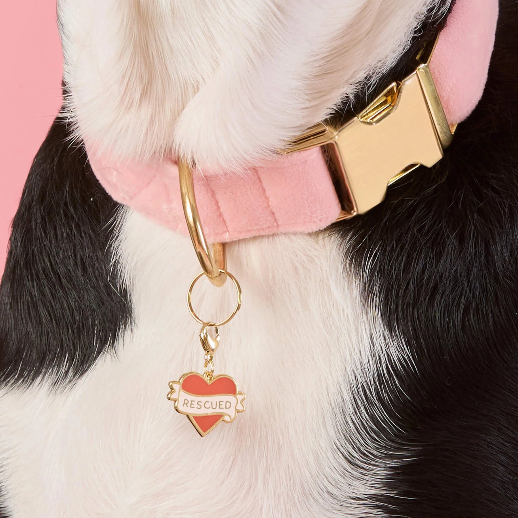 The Foggy Dog - Collar Charm Rescued With Love