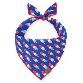 The Foggy Dog - Bandana Dog Rocket Pop