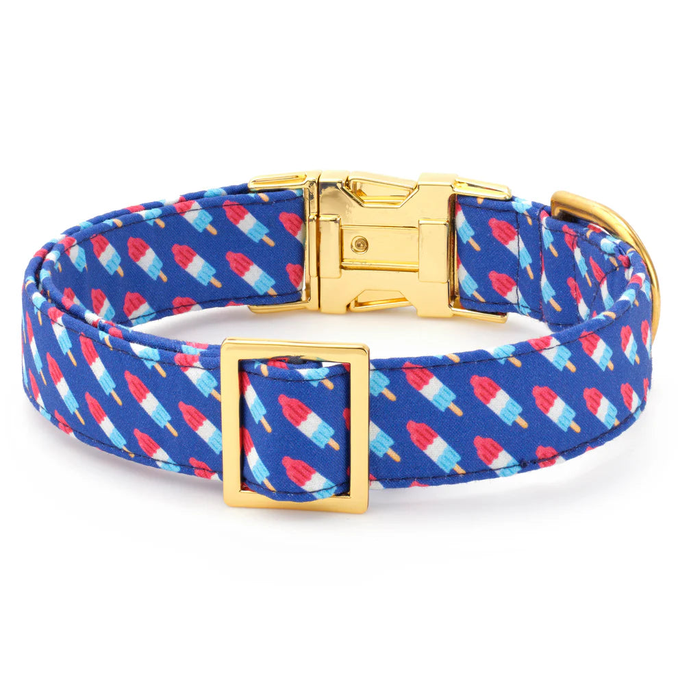 The Foggy Dog - Dog Collar Rocket Pop