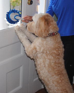 Soggy Doggy Doormat - Soggy Doggy Slobber Swabber