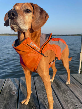 Baydog - Saginaw Fleece Coat