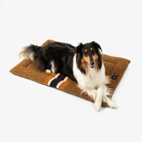 Carolina Pet Company - Pendleton Cushion Shinola Brown Dog Bed