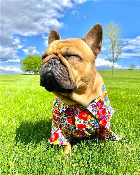 Parisian Pet - Camp Shirt Floral Artsy