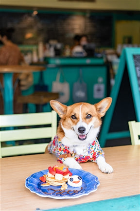 Parisian Pet - Camp Shirt Floral Artsy