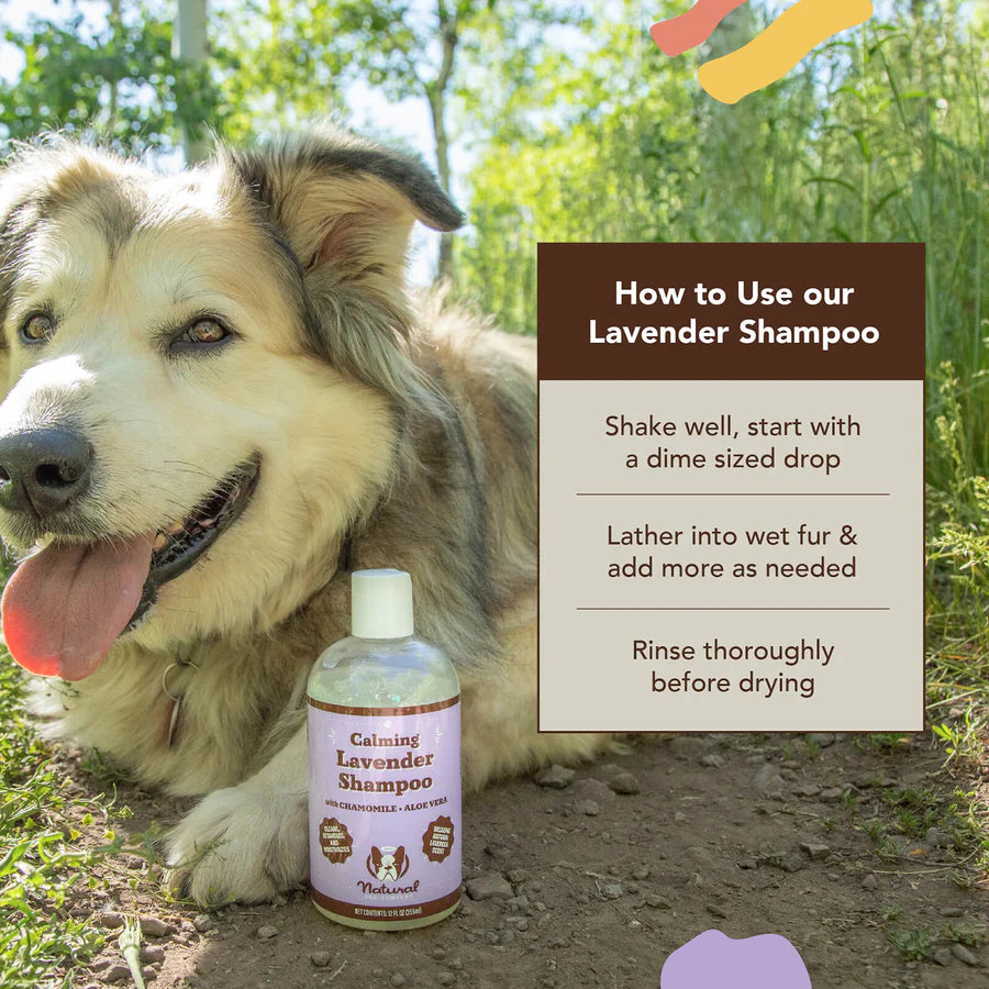 Natural Dog Company - Calming Lavender Shampoo
