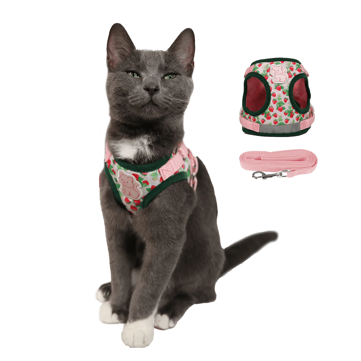 Travel Cat - Harness & Leash Set - "Strawberry Shortcake" - Southern Agriculture 