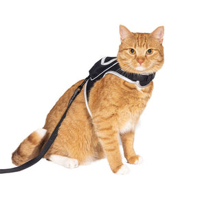 Travel Cat - Cat Harness & Leash Set - Stray x Travel Edition