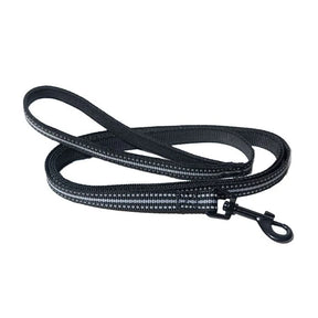 Travel Cat - Cat Harness & Leash Set - Stray x Travel Edition