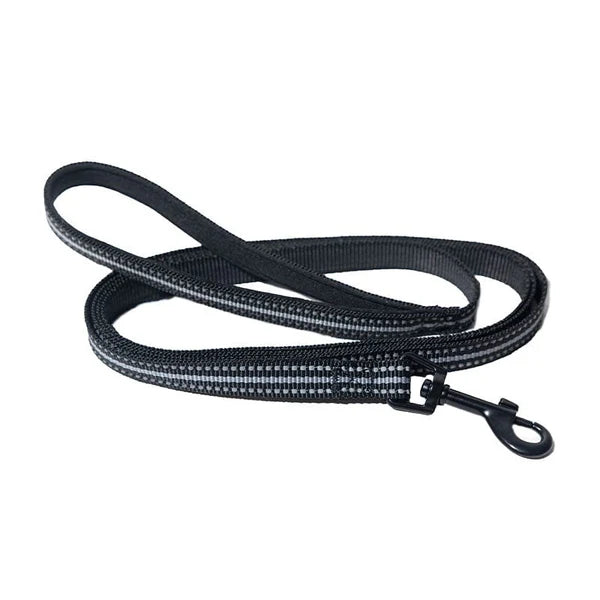 Travel Cat - Cat Harness & Leash Set - Stray x Travel Edition