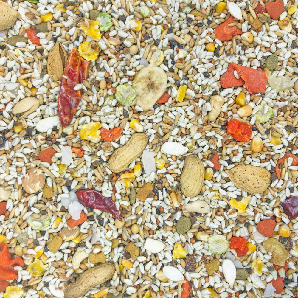 Higgins - Safflower Gold Parrot Food