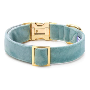 The Foggy Dog - Dog Collar Sage Velvet