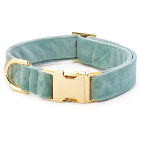 The Foggy Dog - Dog Collar Sage Velvet