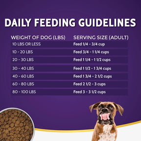 Zignature - Salmon Limited Ingredient Dry Dog Food - Southern Agriculture 