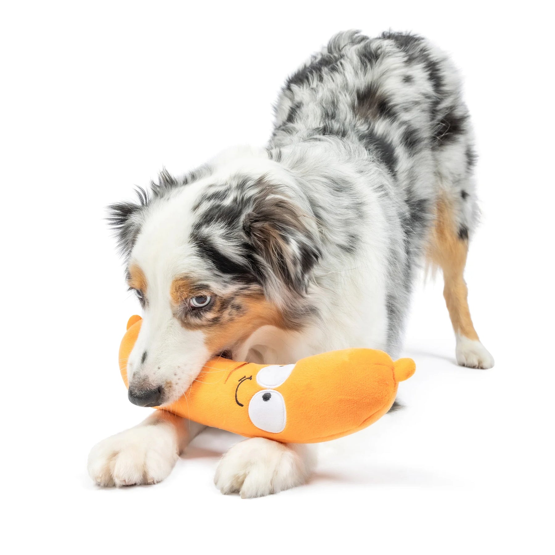 Huxley & Kent - Dog Toy Fetchies Sammy Sausage - Southern Agriculture 