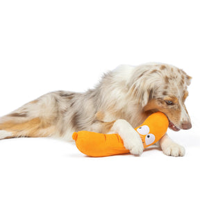 Huxley & Kent - Dog Toy Fetchies Sammy Sausage - Southern Agriculture 