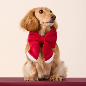 Foggy Dog - Dog Bow Lady Santa Paws