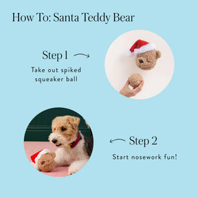 The Foggy Dog - Dog Toy Santa Teddy Bear 2 in 1 Bounce