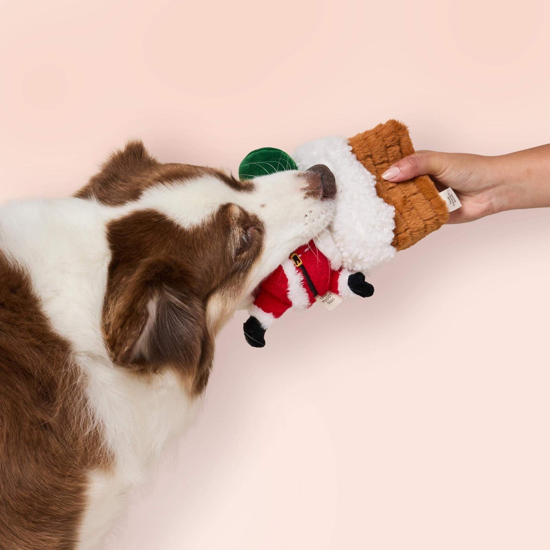 The Foggy Dog - Dog Toy Here Comes Santa