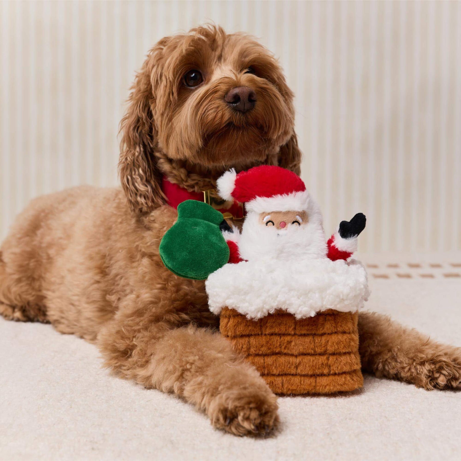 The Foggy Dog - Dog Toy Here Comes Santa