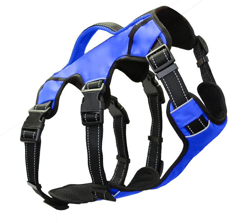 BayDog - Saranac Dog Backpack