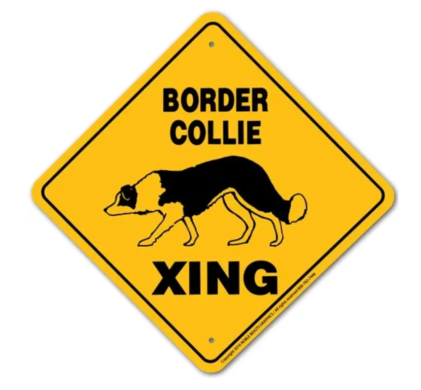 Noble Beasts - Border Collie X-ing Sign