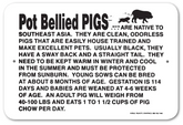 Noble Beasts - Information Pot Bellied Pig Sign