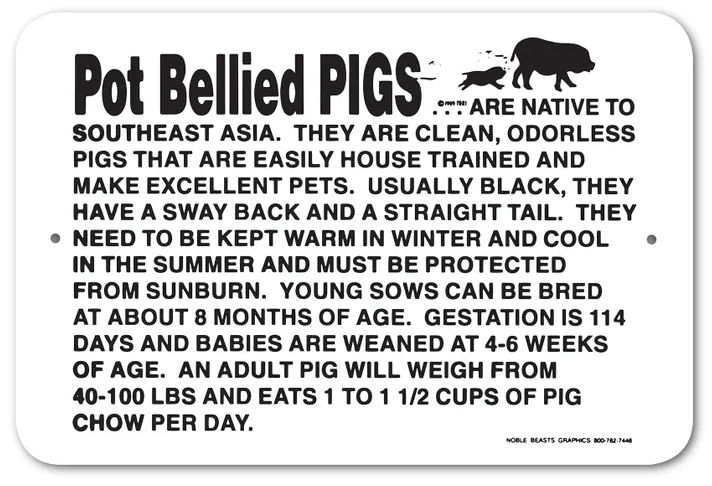 Noble Beasts - Information Pot Bellied Pig Sign