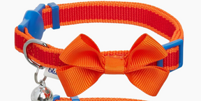 Blueberry Pet - Classic Solid | Cat Collar with Bow