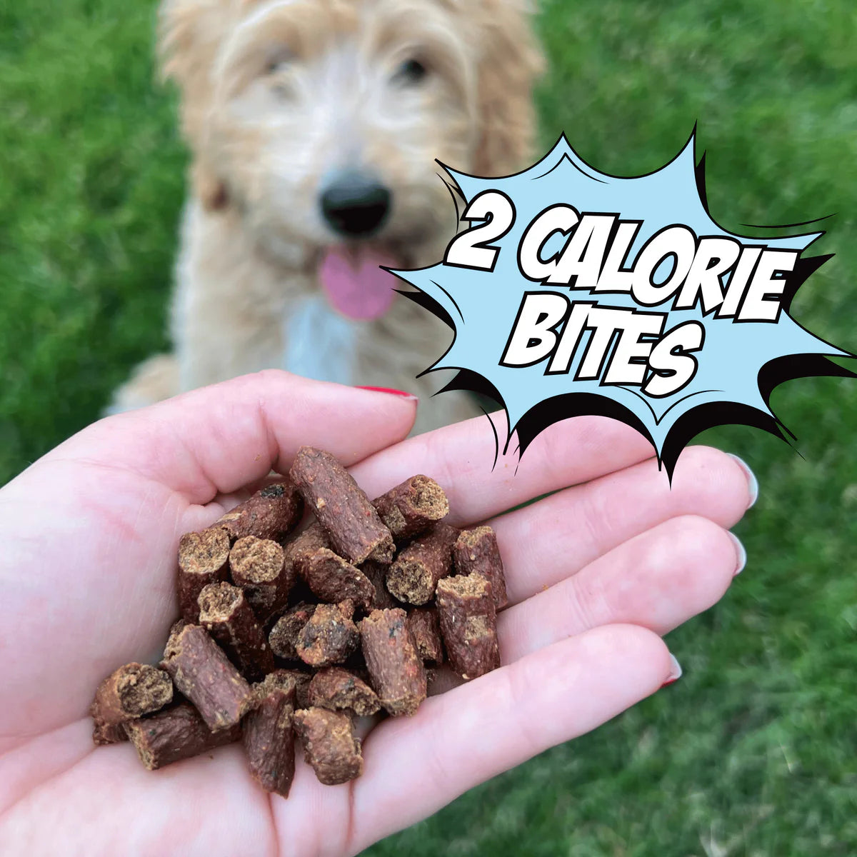 Chippin - Training Bites