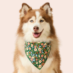 The Foggy Dog - Bandana Secret Garden