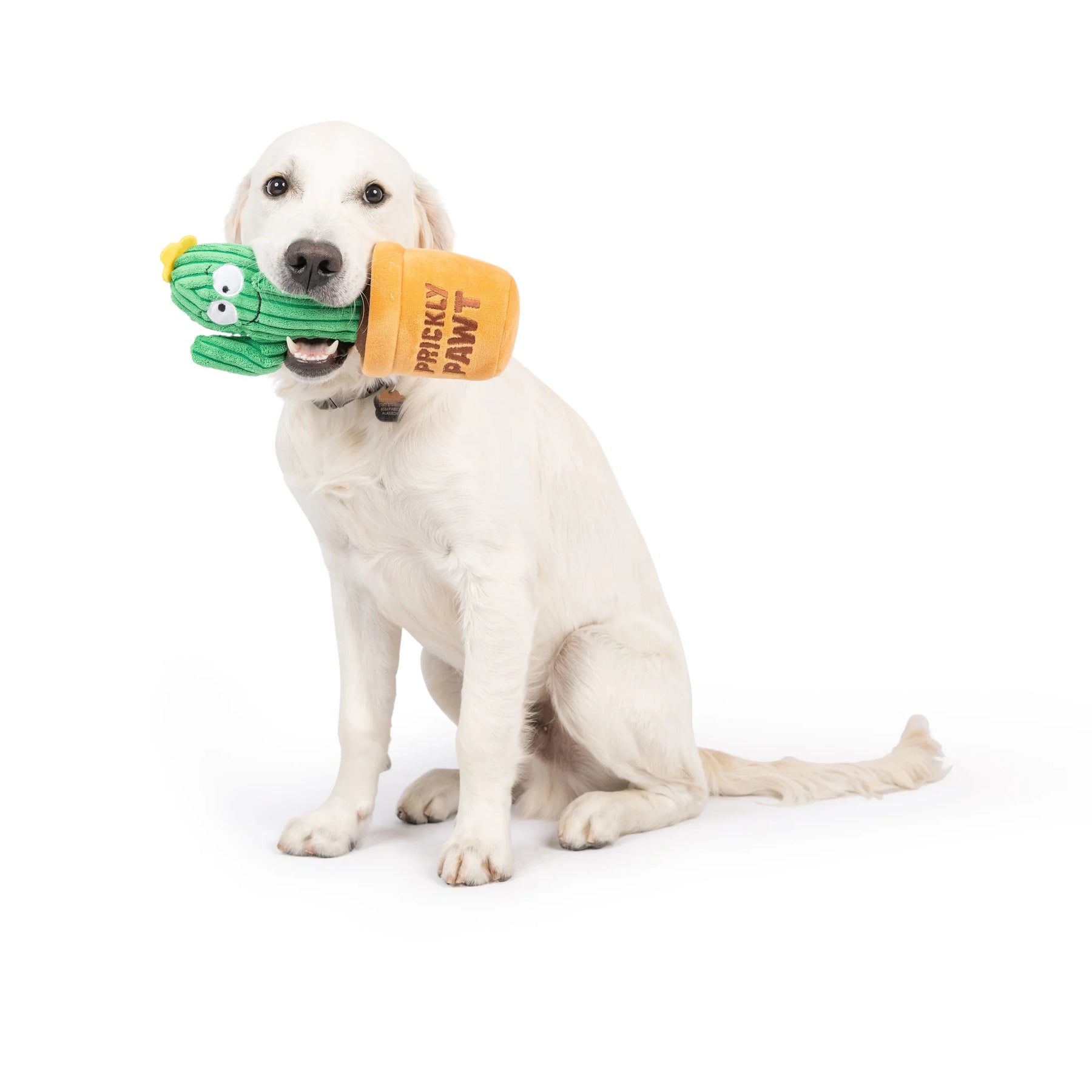Huxley & Kent - Dog Toy Seek 'N Treat Prickly