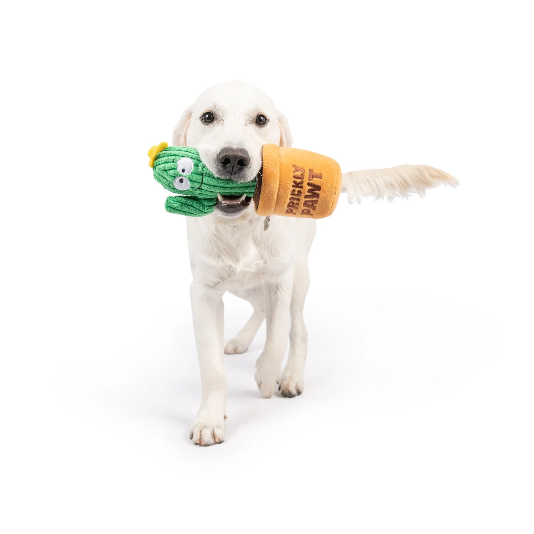 Huxley & Kent - Dog Toy Seek 'N Treat Prickly