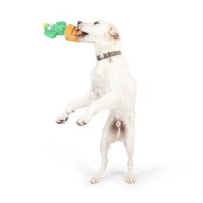Huxley & Kent - Dog Toy Seek 'N Treat Prickly