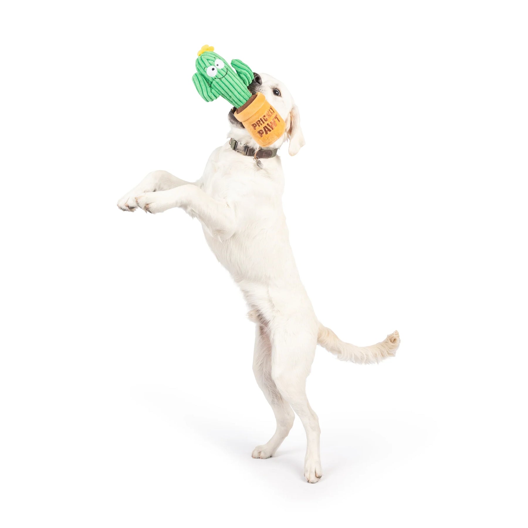 Huxley & Kent - Dog Toy Seek 'N Treat Prickly