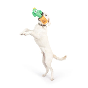 Huxley & Kent - Dog Toy Seek 'N Treat Prickly