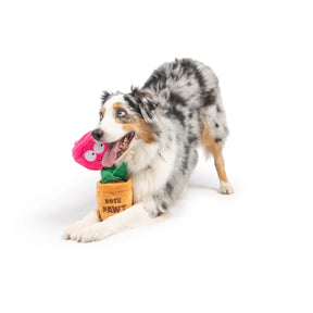 Huxley & Kent - Dog Toy Seek 'N Treat Rosie Pawt
