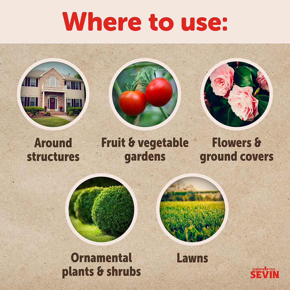 Garden Tech - Sevin Insect Killer Ready to Spray
