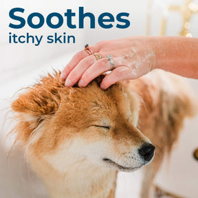 Wondercide - Flea & Tick Shampoo Rosemary